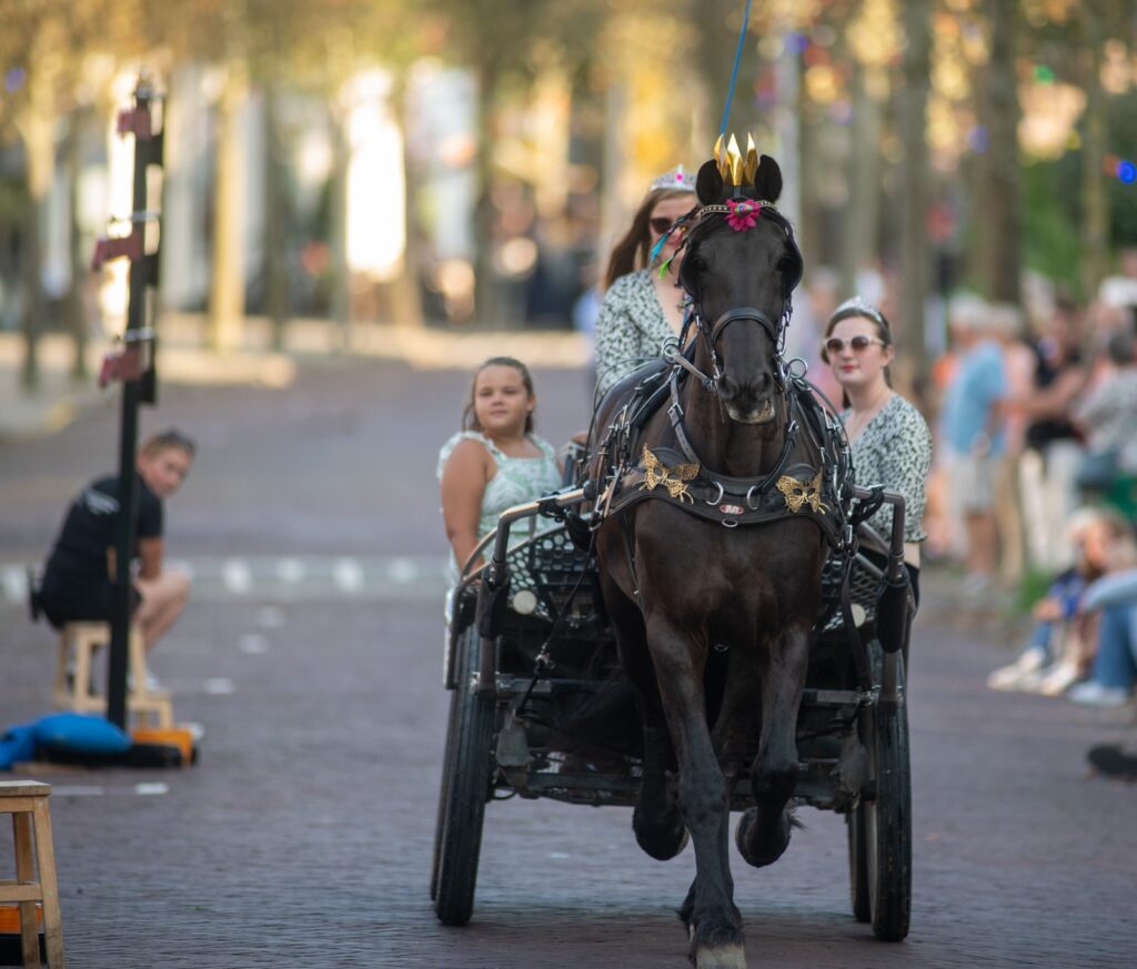 Vierdorpen competitie ringrijden