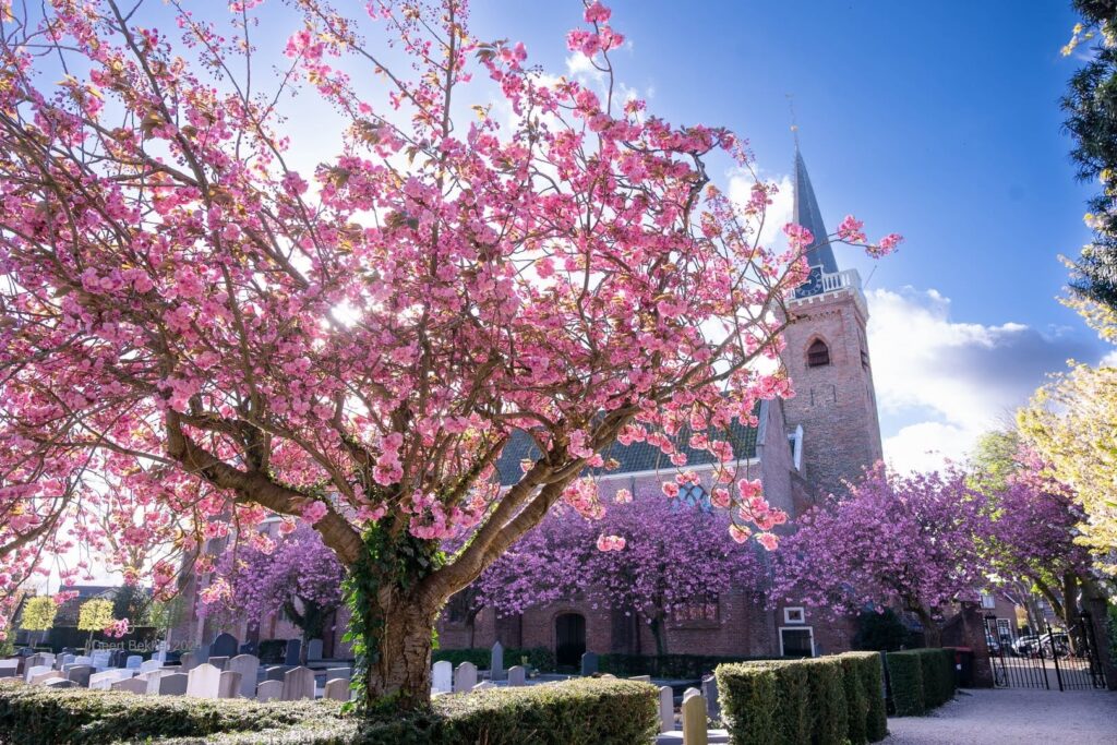 Ontdek de Dorpskerk!