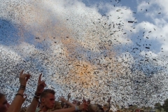 13-08-31_mvr_canon-eos-7d-406